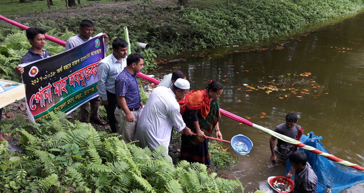 তারাগঞ্জে পোনা মাছ অবমুক্তকরন